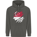 Torn Singapore Flag Singaporean Day Football Childrens Kids Hoodie Storm Grey