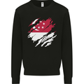 Torn Singapore Flag Singaporean Day Football Kids Sweatshirt Jumper Black