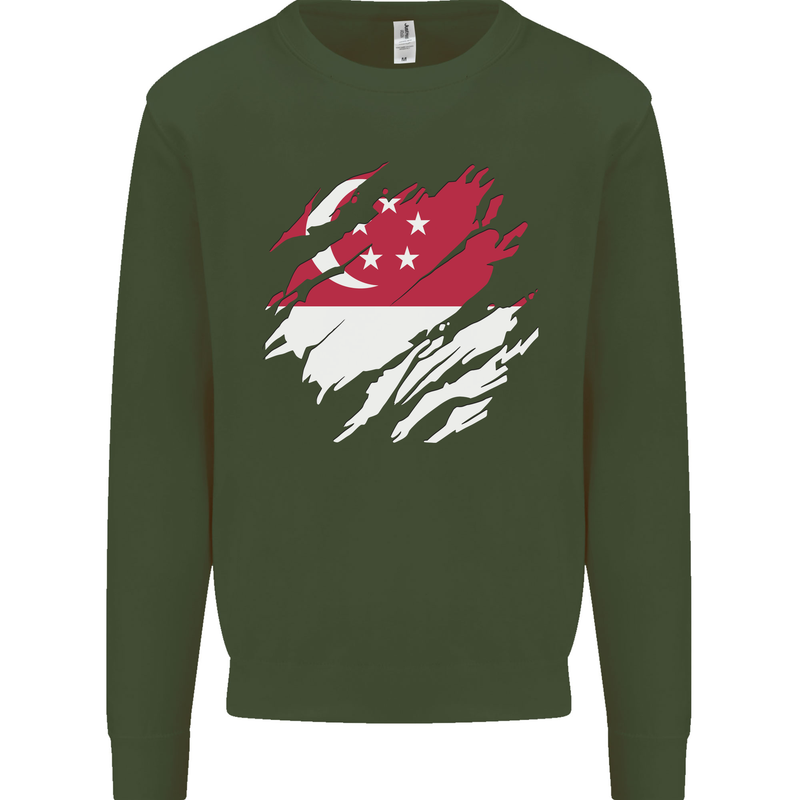 Torn Singapore Flag Singaporean Day Football Kids Sweatshirt Jumper Forest Green
