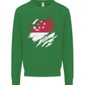 Torn Singapore Flag Singaporean Day Football Kids Sweatshirt Jumper Irish Green