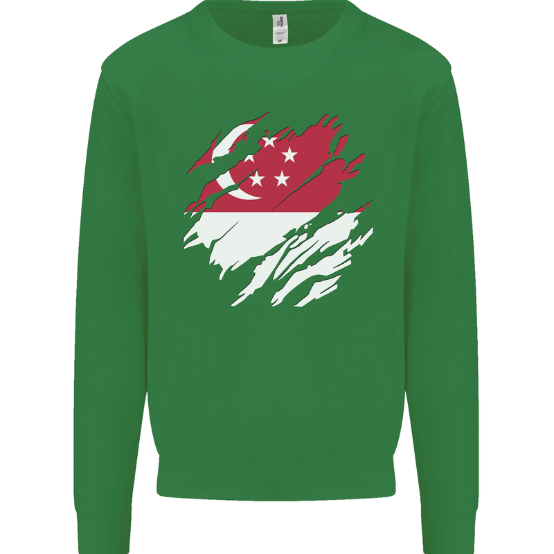 Torn Singapore Flag Singaporean Day Football Kids Sweatshirt Jumper Irish Green