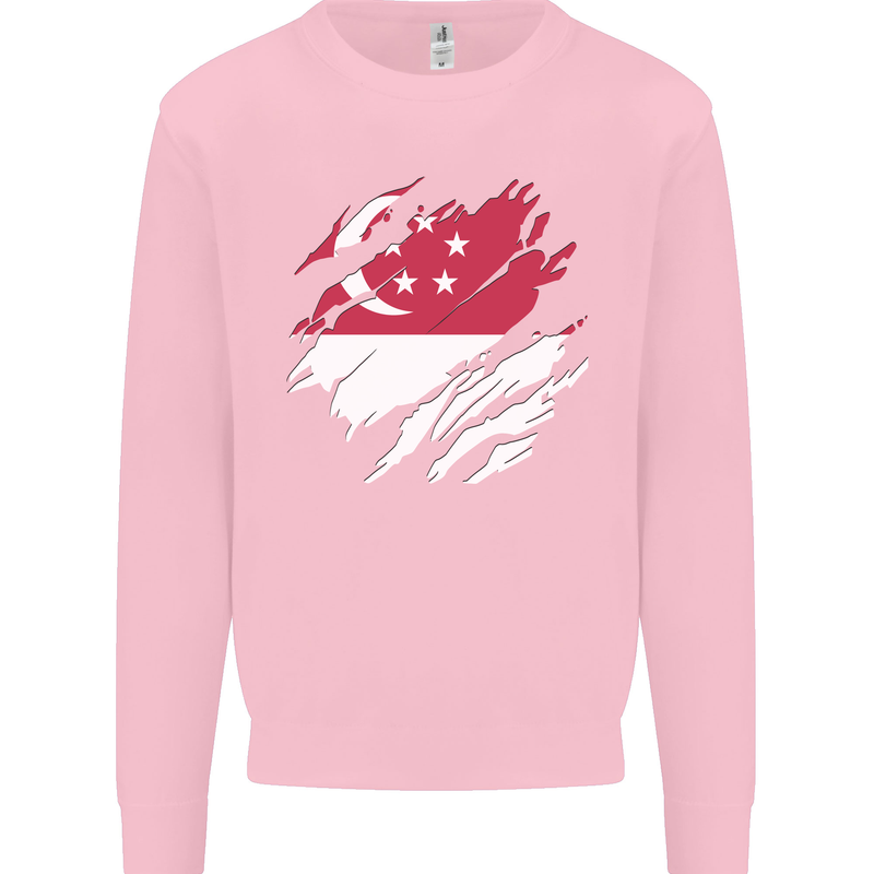 Torn Singapore Flag Singaporean Day Football Kids Sweatshirt Jumper Light Pink