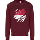 Torn Singapore Flag Singaporean Day Football Kids Sweatshirt Jumper Maroon
