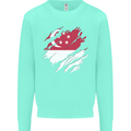 Torn Singapore Flag Singaporean Day Football Kids Sweatshirt Jumper Peppermint