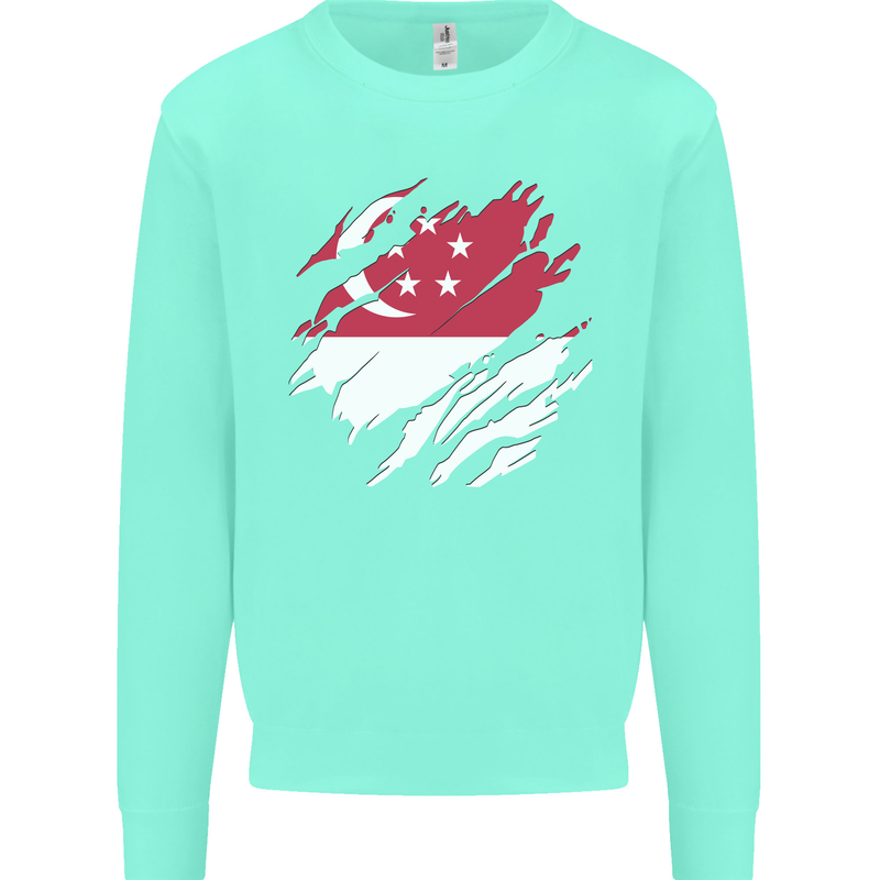 Torn Singapore Flag Singaporean Day Football Kids Sweatshirt Jumper Peppermint