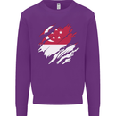 Torn Singapore Flag Singaporean Day Football Kids Sweatshirt Jumper Purple