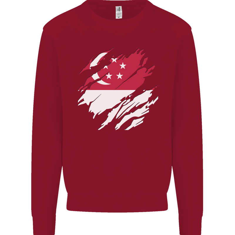 Torn Singapore Flag Singaporean Day Football Kids Sweatshirt Jumper Red