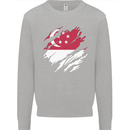 Torn Singapore Flag Singaporean Day Football Kids Sweatshirt Jumper Sports Grey