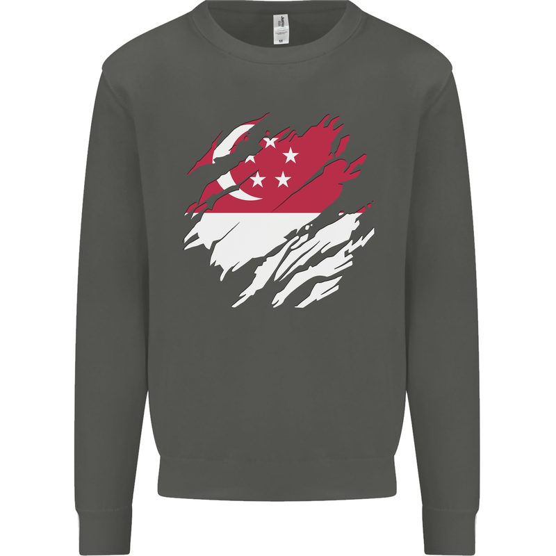 Torn Singapore Flag Singaporean Day Football Kids Sweatshirt Jumper Storm Grey
