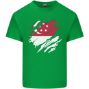 Torn Singapore Flag Singaporean Day Football Mens Cotton T-Shirt Tee Top Irish Green