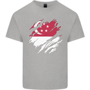 Torn Singapore Flag Singaporean Day Football Mens Cotton T-Shirt Tee Top Sports Grey