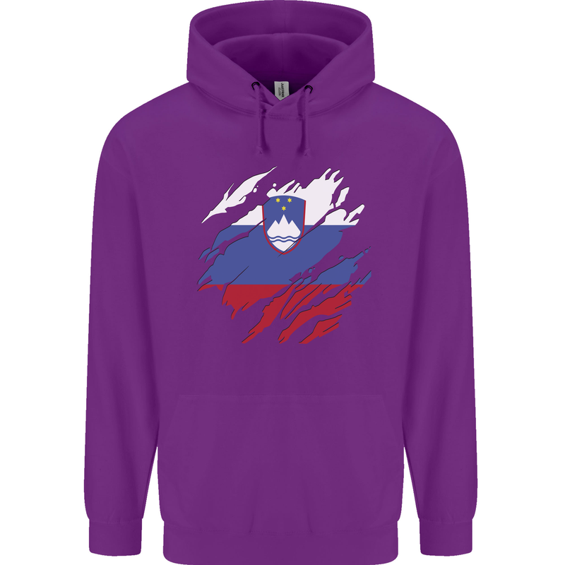 Torn Slovenia Flag Slovenian Day Football Childrens Kids Hoodie Purple