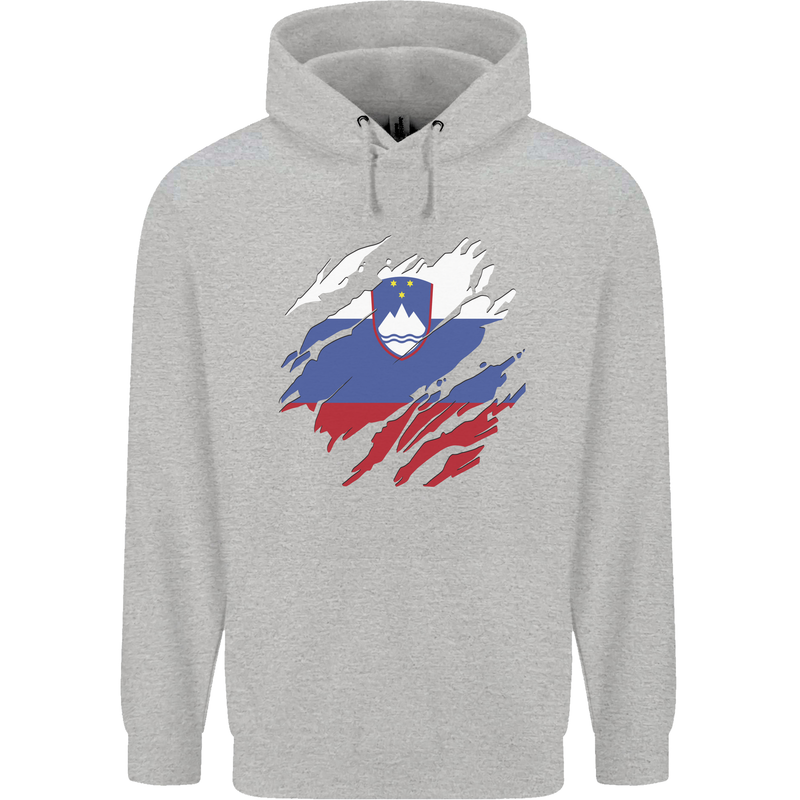 Torn Slovenia Flag Slovenian Day Football Childrens Kids Hoodie Sports Grey