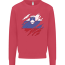 Torn Slovenia Flag Slovenian Day Football Kids Sweatshirt Jumper Heliconia