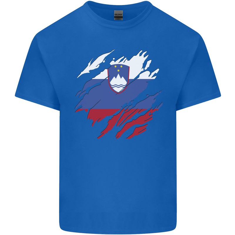 Torn Slovenia Flag Slovenian Day Football Kids T-Shirt Childrens Royal Blue