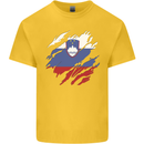 Torn Slovenia Flag Slovenian Day Football Kids T-Shirt Childrens Yellow