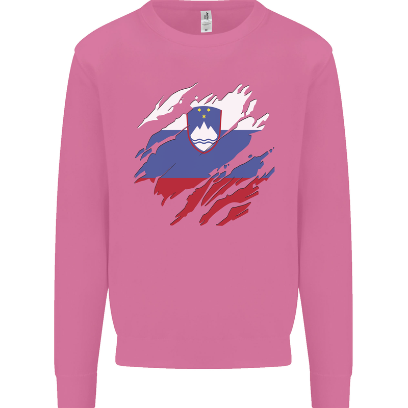 Torn Slovenia Flag Slovenian Day Football Mens Sweatshirt Jumper Azalea