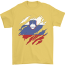 Torn Slovenia Flag Slovenian Day Football Mens T-Shirt 100% Cotton Yellow