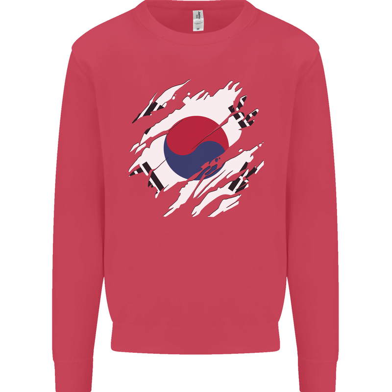 Torn South Korea Flag Korean Day Football Kids Sweatshirt Jumper Heliconia