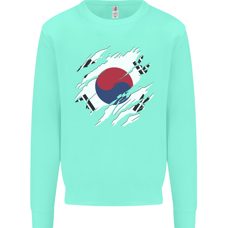 Torn South Korea Flag Korean Day Football Kids Sweatshirt Jumper Peppermint