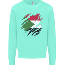 Torn Sudan Flag Sudanese Day Football Kids Sweatshirt Jumper Peppermint