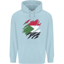 Torn Sudan Flag Sudanese Day Football Mens 80% Cotton Hoodie Light Blue
