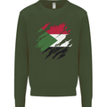Torn Sudan Flag Sudanese Day Football Mens Sweatshirt Jumper Forest Green