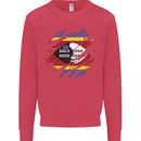 Torn Swaziland Flag Swazi Day Football Kids Sweatshirt Jumper Heliconia