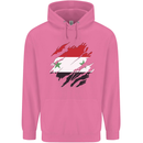 Torn Syria Flag Syrian Day Football Childrens Kids Hoodie Azalea
