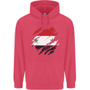 Torn Syria Flag Syrian Day Football Childrens Kids Hoodie Heliconia
