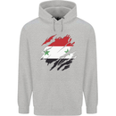 Torn Syria Flag Syrian Day Football Childrens Kids Hoodie Sports Grey