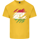 Torn Tajikistan Flag Tajik Day Football Kids T-Shirt Childrens Yellow