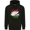 Torn Tajikistan Flag Tajik Day Football Mens 80% Cotton Hoodie Black