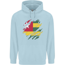 Torn Togo Flag Togolese Day Football Mens 80% Cotton Hoodie Light Blue