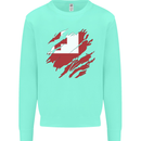 Torn Tongo Flag Tongan Day Football Kids Sweatshirt Jumper Peppermint