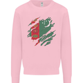 Torn Turkmenistan Flag The Turkmen Day Football Mens Sweatshirt Jumper Light Pink
