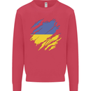 Torn Ukraine Flag Ukrainian Day Football Kids Sweatshirt Jumper Heliconia