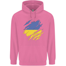 Torn Ukraine Flag Ukrainian Day Football Mens 80% Cotton Hoodie Azelea