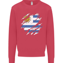 Torn Uruguay Flag Uruguayan Day Football Kids Sweatshirt Jumper Heliconia