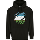 Torn Uzbekistan Flag Ukbek Day Football Childrens Kids Hoodie Black