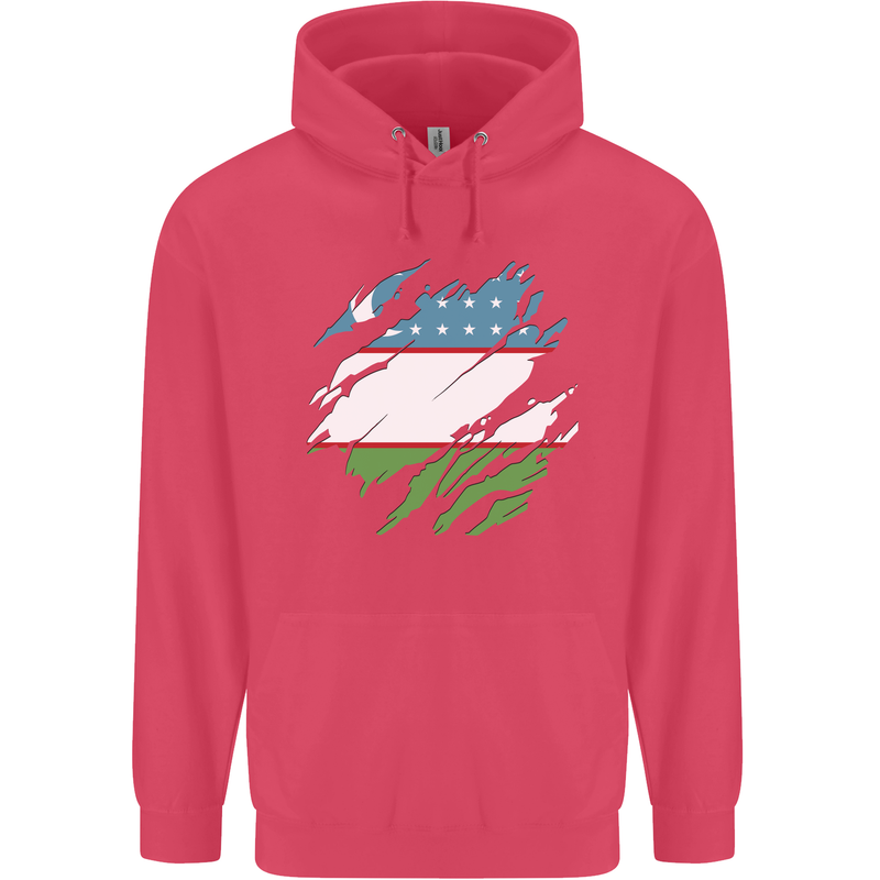 Torn Uzbekistan Flag Ukbek Day Football Childrens Kids Hoodie Heliconia
