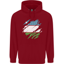 Torn Uzbekistan Flag Ukbek Day Football Childrens Kids Hoodie Red