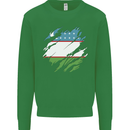 Torn Uzbekistan Flag Ukbek Day Football Kids Sweatshirt Jumper Irish Green