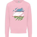 Torn Uzbekistan Flag Ukbek Day Football Kids Sweatshirt Jumper Light Pink
