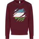 Torn Uzbekistan Flag Ukbek Day Football Kids Sweatshirt Jumper Maroon