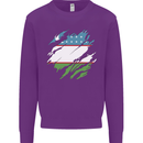 Torn Uzbekistan Flag Ukbek Day Football Kids Sweatshirt Jumper Purple