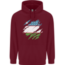Torn Uzbekistan Flag Ukbek Day Football Mens 80% Cotton Hoodie Maroon