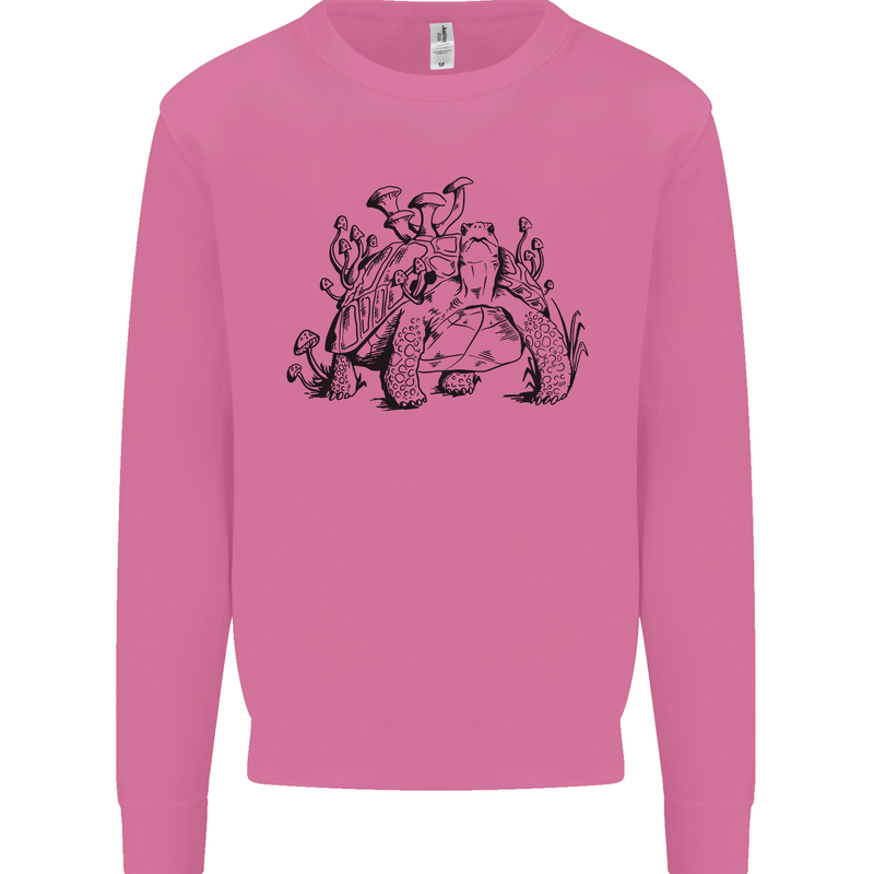 Tortoise Mushrooms Nature Mycology Mens Sweatshirt Jumper Azalea