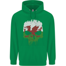 Wales Skull Welsh Gym Biker Flag Childrens Kids Hoodie Irish Green