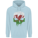 Wales Skull Welsh Gym Biker Flag Childrens Kids Hoodie Light Blue